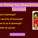 Important Things You Should Know About Gamespk